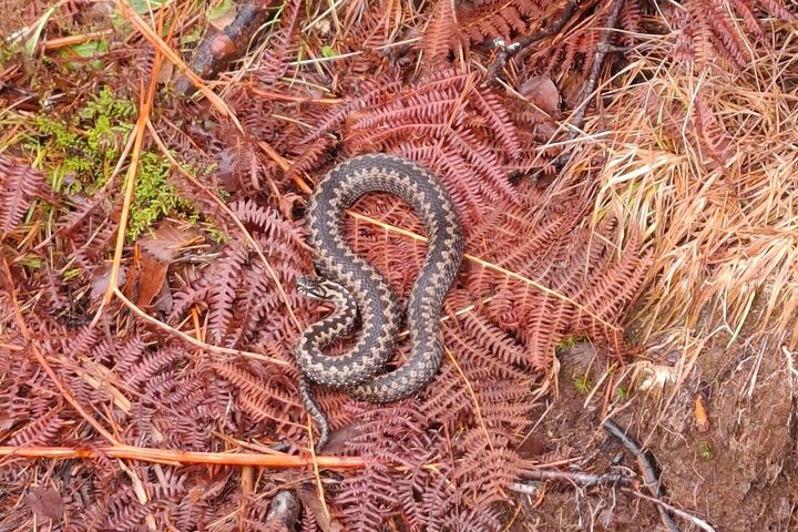 Dette var det som møtte turgåer Kent Hunskår tirsdag 24. februar.