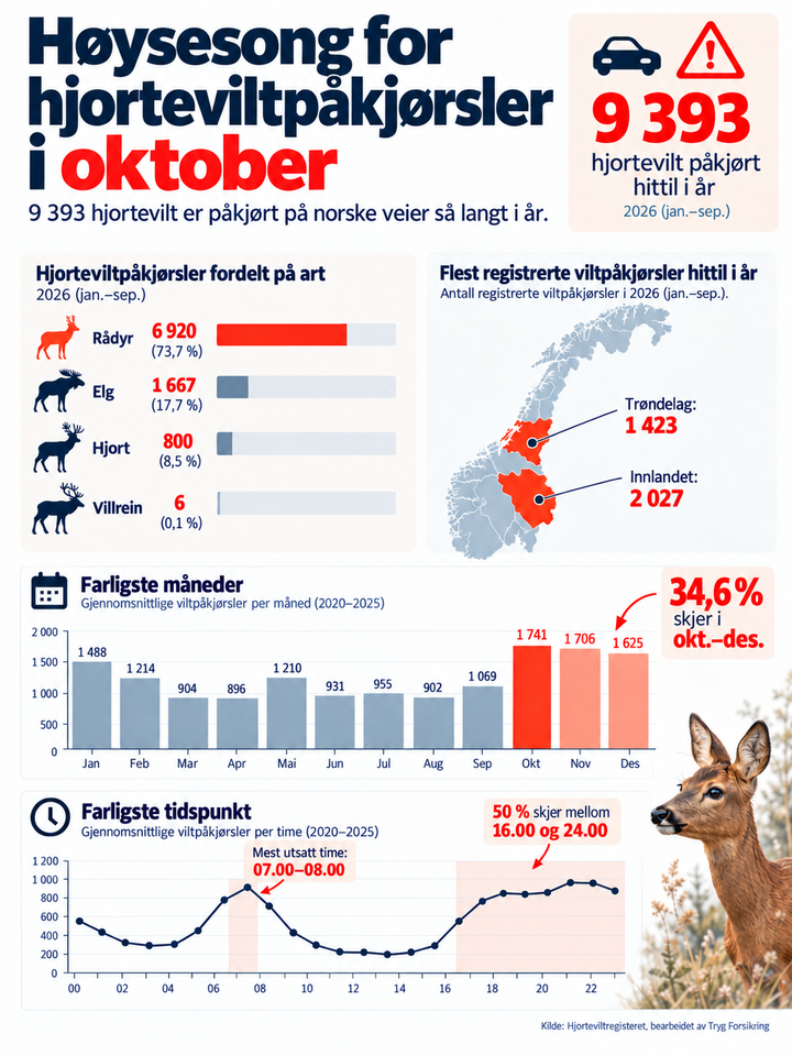 Vi nærmer oss høysesong for påkjørsel av hjortevilt.