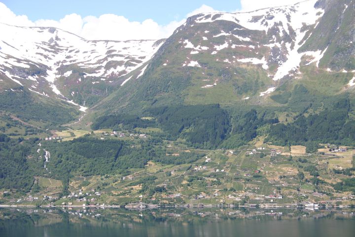 Vikebygd i Ullensvang sett frå austsida av Sørfjorden. Fruktgardane ligg oppover fjellsidene, nokre så bratt at ein ikkje kan køyra med traktor.