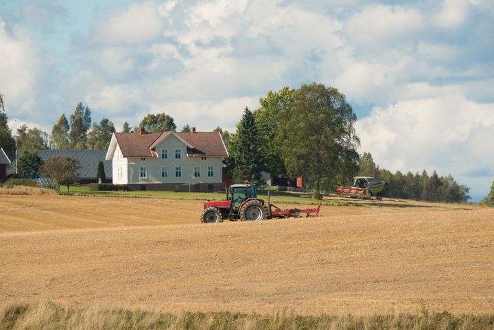 Tresking av Ski kommune. Mange Akershuskommuner har stor betydning for Norges kornproduksjon.