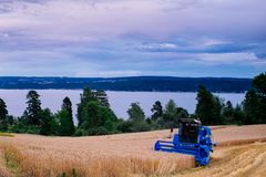 Korntresking på Nesodden.
