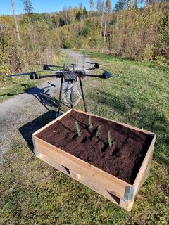 Drone på bakken ved siden av en treplantekasse med nyplantede frøplanter i en grønn skogsomgivelse.
