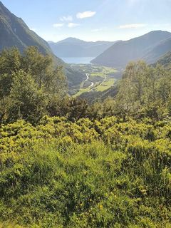 Landskapsbilde av Stordal i Fjord kommune, med skogkledde fjell og en dal med en elv som bukter seg mot en fjord i bakgrunnen.
