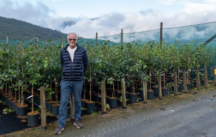En mann står foran en rekke frukttreplanter på en planteskole i Kinsarvik, Hardanger.