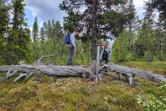 To personer undersøker en informasjonsplakat ved en falmet trestamme i en skog.