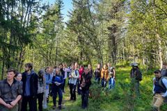 En gruppe studenter står i en skog, omgitt av trær og vegetasjon.