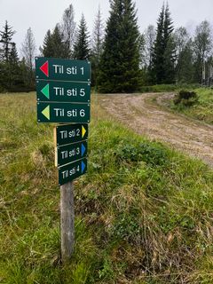Et skilt ved en sti viser retninger til seks forskjellige stier, med fargede piler. Skogen i bakgrunnen.