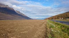 Førsteklasses matjord i Målselv.