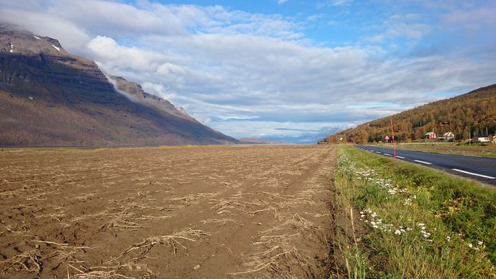 Førsteklasses matjord i Målselv.