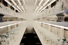 Slik ser det ut inne i klonarkivet.