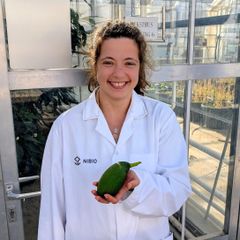 Kvinne i en labfrakk står i et drivhus og holder en avokado.