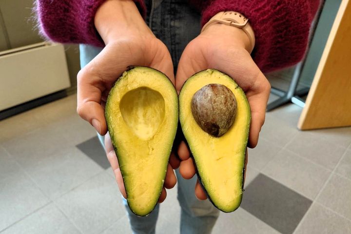 En person holder en delt avokado med stein.