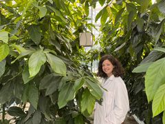 En person i hvit labfrakk står blant avokadoplanter i et veksthus.