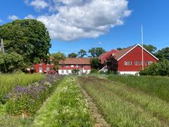 NIBIO sin forsøksgård på Landvik.