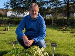 Forsker Lars Havstad ved NIBIO Landvik.