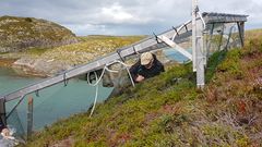 En forsker jobber med overvåking ved kystlynghei med utstyr i skråning ved sjøen.