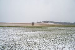 Rekneskapa til bøndene som er med i «Driftsgranskingane» viser at kornbøndene hadde eit svært godt år i 2024.