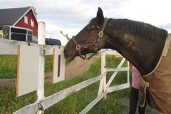 Et sentralt mål med HorseVoice er å utvikle en praktisk håndbok i symbolmetoden, rettet mot hesteeiere, trenere og utdanningsinstitusjoner. Ambisjonen er at metodikken skal kunne tas i bruk langt utover prosjektets rammer.