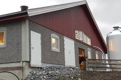 Alternativ tekst: En moderne låvebygning med en ku som titter ut av døren.