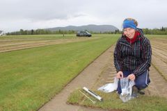 Kvinne tar prøver fra ferdigplen på et jorde, med fjell i bakgrunnen.