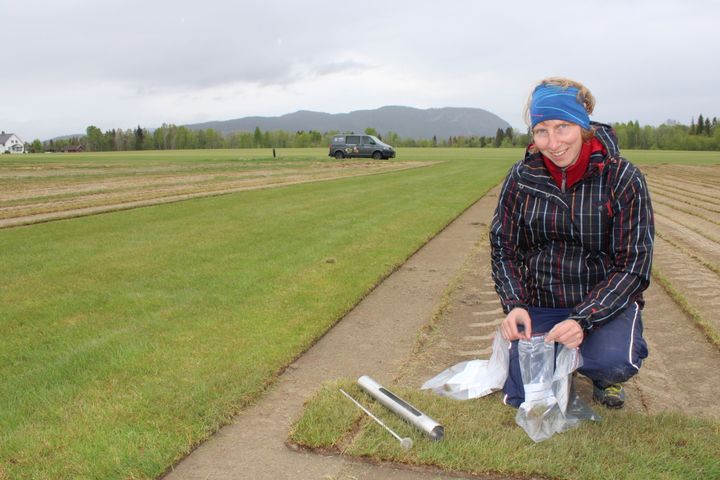 Kvinne tar prøver fra ferdigplen på et jorde, med fjell i bakgrunnen.