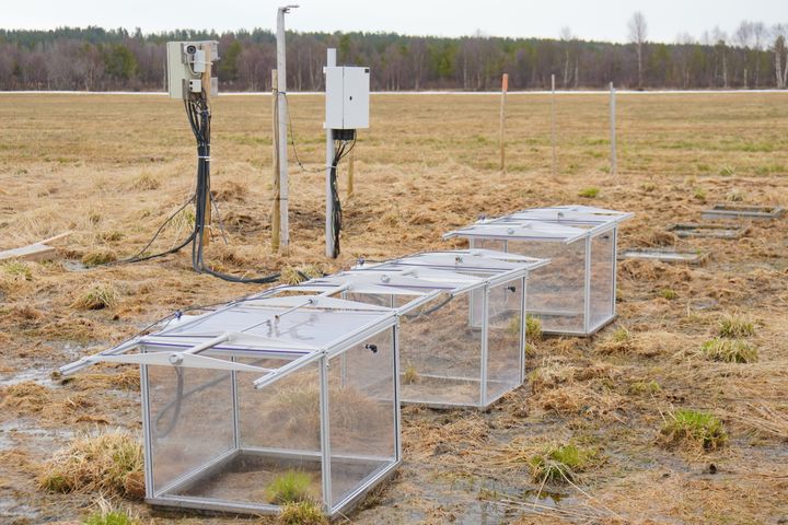 Automatiske kamre på en myr i Pasvikdalen måler klimagassutslipp.