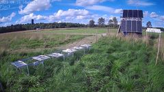 Bilde av et åkerfelt med lange gressplanter og en installasjon med solcellepaneler i bakgrunnen.