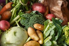 En mengde ferske grønnsaker, inkludert poteter, blomkål, brokkoli og gulrøtter.