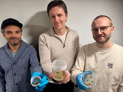 Overingeniør Magne Nordang Skårn, forsker Tage Thorstensen og forsker Sjur Sandgrind er en del av NIBIOs dedikerte CRISPR-miljø. Målet er å bygge opp et sterkt kompetansemiljø og et tyngdepunkt i Norge.