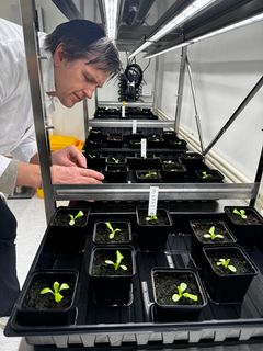 Thorstensen understreker likevel at genredigering ikke er løsningen på alt, men et viktig verktøy i møte med klimaendringer og økende sykdomspress.