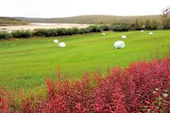 I et samisk jordbruk har det vært viktig å tilpasse seg et tidvis krevende klima i nord, samt det lokale naturgrunnlaget med de ressurser som fantes.