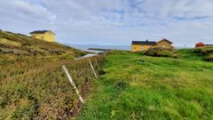 Arealbruksendring i form av opphør av bruk er en stor påvirkningsfaktor for semi-naturlig eng. Dette illustreres tydelig i dette området på Helgelandskysten hvor semi-naturlig eng til venstre for gjerdet har opphør i beiting og er i dårlig tilstand, mens semi-naturlig eng til høyre er beitet, og i god tilstand.