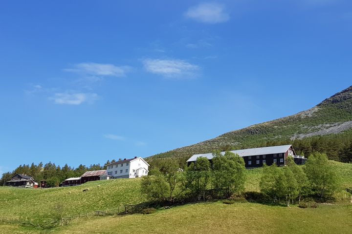 Strukturutviklingen i jordbruket har over lang tid gått i retning av færre bruk. I 1999 var det 70 700 jordbruksbedrifter i Norge. I 2024 var tallet redusert til 36 700.