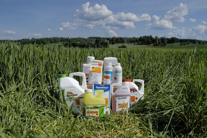 Fleire og fleire kjemiske plantevernmiddel mister godkjenninga si, utan å bli erstatta av nye. Dette bekymrar forskarane.