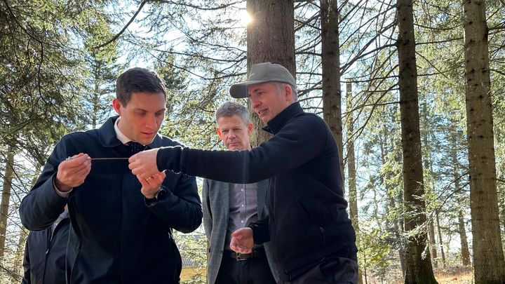 Bilde av tre personer i skogen som studerer en gjenstand.