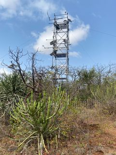 Overvåkingstårnet som er satt opp på savannen måler hvordan naturen tar opp og slipper ut karbon og energi gjennom året, i takt med at vegetasjonen endrer seg.