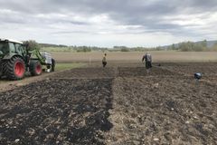 Manuell fordeling av biokull på forsøksfeltene.