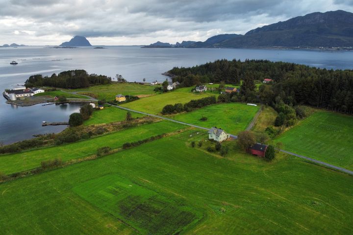 Mange dyrkede myrområder langs vestkysten av Norge har relativt høy grunnvannstand på grunn av det fuktige klimaet. I slike områder kan Tier 1‑metoden gi en betydelig overvurdering av CO2-utslippene. Bildet viser et forsøksfelt på dyrket myrjord ved NIBIOs forsøksstasjon på Fureneset i Vestland.