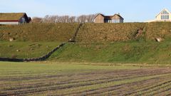 I dag legg budsjettnemda for jordbruket (BFJ) fram resultata sine og det er store endringar i tala samanlikna med i fjor. Sekretariatsansvaret for BFJ er lagt til avdeling Landbruksøkonomisk analyse i NIBIO.