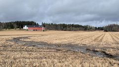 EU-prosjektet EUROSION skal utvikle eit felles europeisk system for overvaking og modellering av jorderosjon.