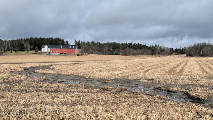 EU-prosjektet EUROSION skal utvikle eit felles europeisk system for overvaking og modellering av jorderosjon.