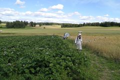 Talet på sprøytingar har dobla seg dei siste ti åra, mellom anna på grunn av endringar i tørråtepopulasjonen.