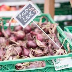 Innen grøntsektoren er markedstilgang en sentral utfordring. Mange produsenter opplever usikker etterspørsel og varierende merpris. De er i stor grad avhengige av direktesalg for å sikre lønnsomhet.