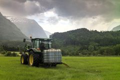 En ny NIBIO-rapport viser at lønnsomheten i økologisk landbruk i Norge varierer betydelig mellom ulike produksjoner.