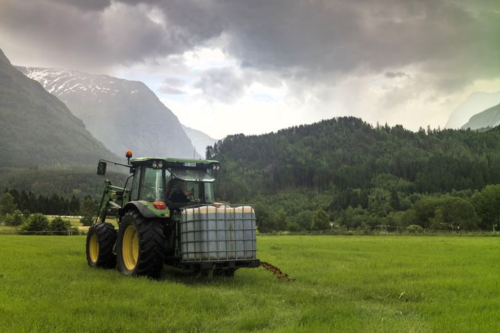En ny NIBIO-rapport viser at lønnsomheten i økologisk landbruk i Norge varierer betydelig mellom ulike produksjoner.