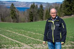 – Rundt Mjøsa, på Toten og Hedmarken, har høsthveten klart seg godt gjennom vinteren, forteller fagkoordinator Harald Solberg ved NIBIO og Norsk landbruksrådgiving (NLR).