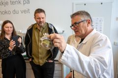 Seniorforskar i NIBIO, Hans Geir Eiken, fortel om arbeidet med karakterisering av kveikstammar i laboratoriet ved NIBIO Ullensvang. Foto: Erling Fløistad, NIBIO.