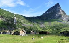 Den vakre Herdalssetra ligg 520 m.o.h opp frå bygda Norddal og innanfor UNESCOs verdsarvområde. Setra har 300 års ubroten setertradisjon, og er ei av dei største fellessetrane for geit i landet. Her er også kyr, sauer og fjordhestar.