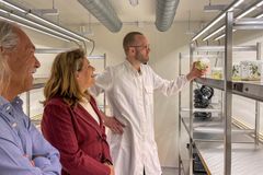 Delegasjonen fikk en innføring i NIBIOs arbeid med CRISPR-teknologi. Forsker Sjur Sandgrind viste rundt.