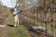 Signe Glømmen sprøyter pærefelt i Hardanger. Mange syntetiske sprøytemiddel kan føra til utfordringar for helse og miljø.